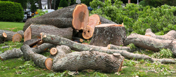 Best Lawn Dethatching  in Sacaton, AZ